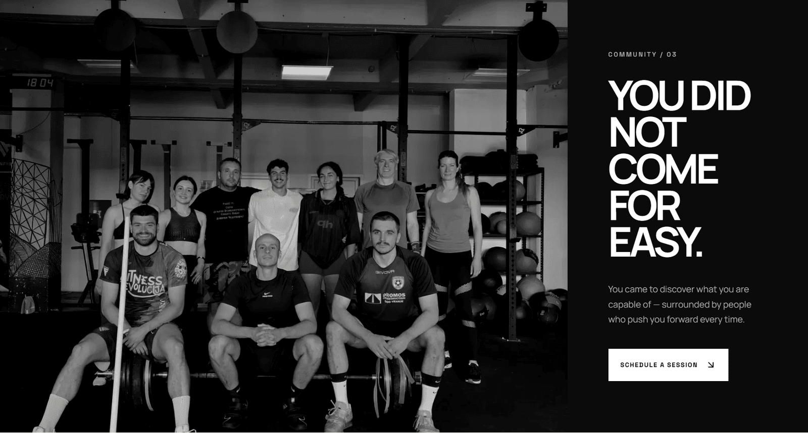 Fitness Revolucija — Plate 03